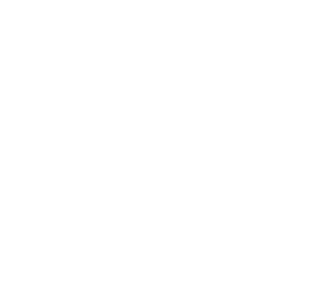 Lakeland Vascular Institute