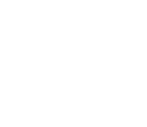 RIS at Lakeland Regional Health