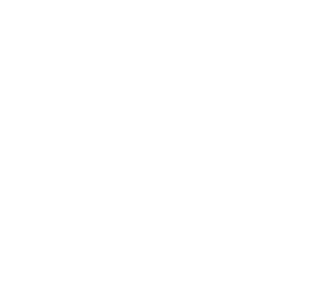 Vein Care Specialists