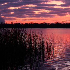 Lakeland, Florida sunset